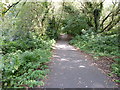 Cycle path through wooded area