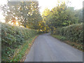 Entering Wiltshire on Leverton Lane