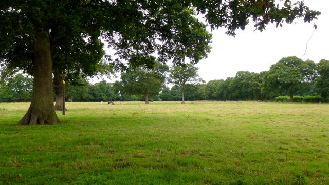 Footpath across pasture