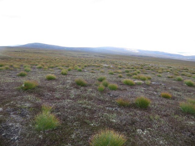 Barren hillside north of Bynack More