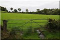 Gate to field