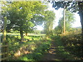 Bridleway towards Lever Park