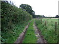 Track to White House Farm