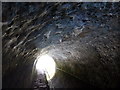 SP1793 : Cobwebs covering the Curdworth Tunnel by Mat Fascione