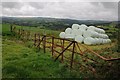 SN6242 : Silage bales above Gwarallt by Philip Halling