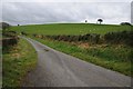 Country road near Pantycelyn Farm