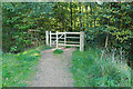 Footpath Gate, Easthampstead