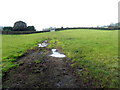 A muddy field, Tullanaglug