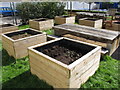 Garden plant boxes, Ark Brunel Primary Academy