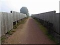 Newish trail over the busy A614