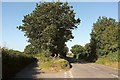 Honiton Cross