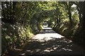 Road past Kingsland Barton