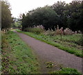 Path towards Nant Ffrwd, Talywain