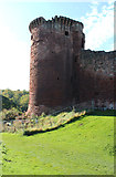 NS6859 : The SE Tower, Bothwell Castle by Billy McCrorie