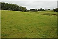 Farmland near Bleanaeufforest