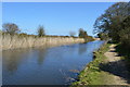 Chichester Canal & New Lipchis Way