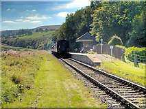 SD7920 : East Lancashire Railway, Irwell Vale Halt by David Dixon