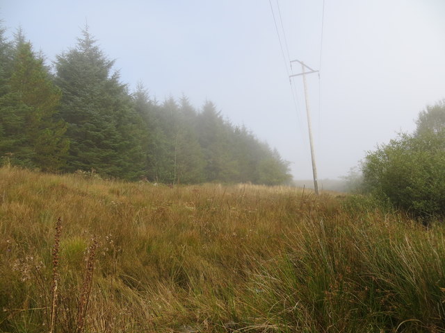 Forest edge with clearway for electricity poles above High Ugadale Farm