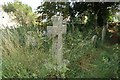 Headstones in the Long Grass