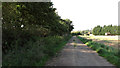 Footpath to Martham