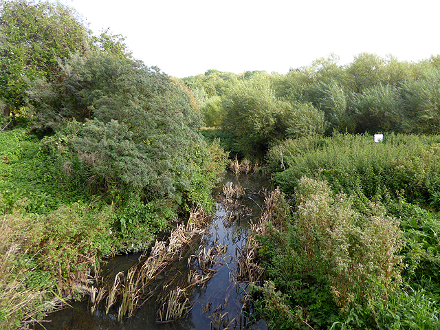 "Quiet flows the Don"