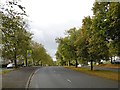 Braidcraft Road, Pollok