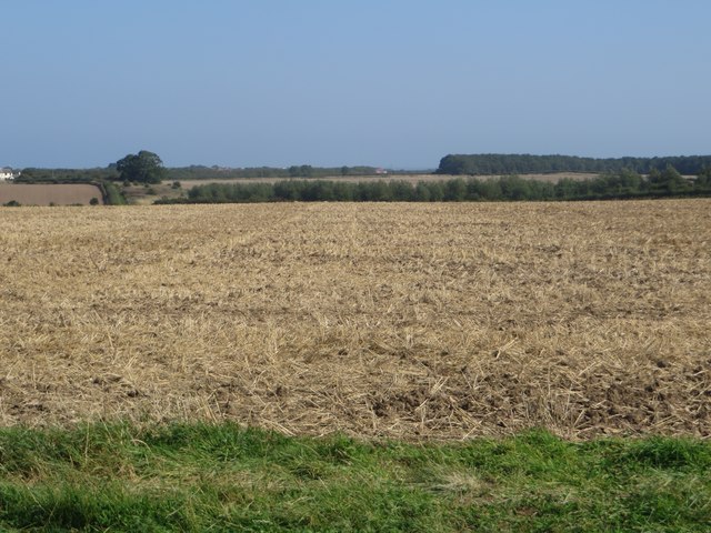 Cultivated arable field