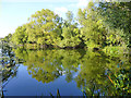 Old gravel pit lake