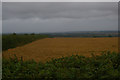 SE9561 : View south-east from Sledmere Monument by Christopher Hilton