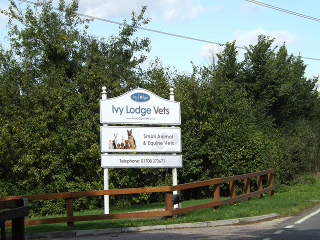 Ivy Lodge, Ivy Lodge on Gibson Street, University of Glasgo…