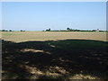 Farmland near Langham House Farm