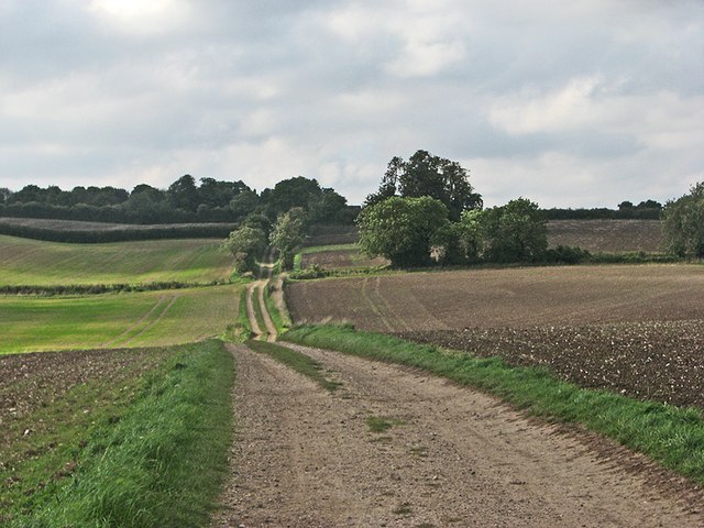Bridle path to Great Chesterford