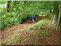 Sunken Track near Skelton Hall