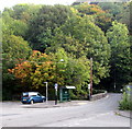 Autumn colours in Abersychan