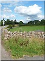 Drystone wall, east side of the B5320