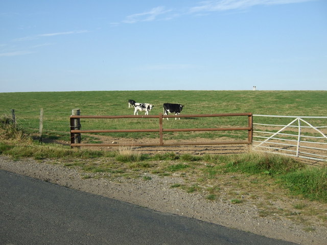 Field entrance near Muckton