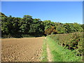 Approaching Ivy Lodge Plantation