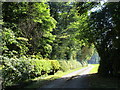 Driveway to Langold Farm