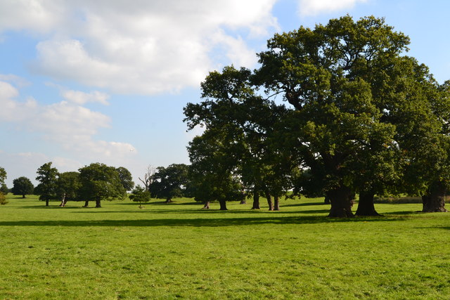 Windsor Park near Ranger's Gate © David Martin :: Geograph Britain and ...