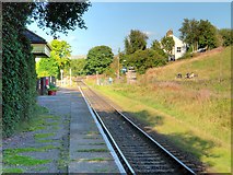 SD7920 : East Lancashire Railway, Irwell Vale by David Dixon