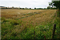 Harvested field by No Man