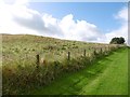 Field on the edge of Barrhead