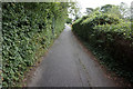 Coastal path along Ladies Walk, Ryde