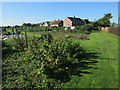 Allotments, Balsham