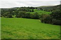 Cothi valley near Cwrt-y-Cadno