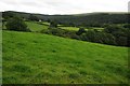 Farmland in the Cothi valley