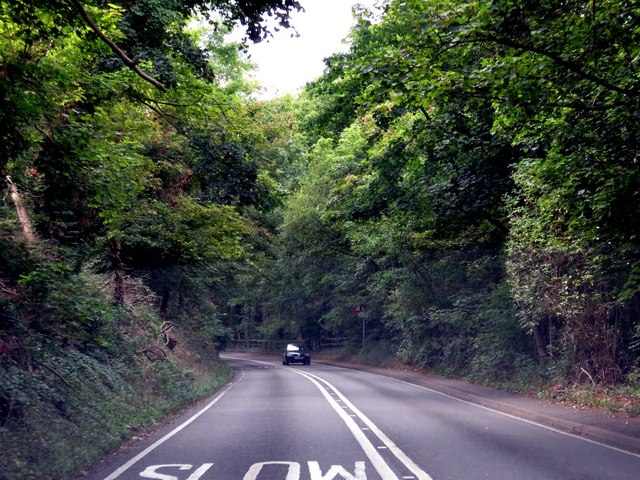 Henley Road runs down Speen Hill