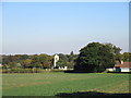 View towards Firbeck