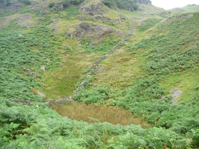 Overgrown pool, below Heck Crag