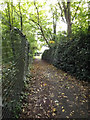 TQ6193 : Footpath to Princes Way by Geographer
